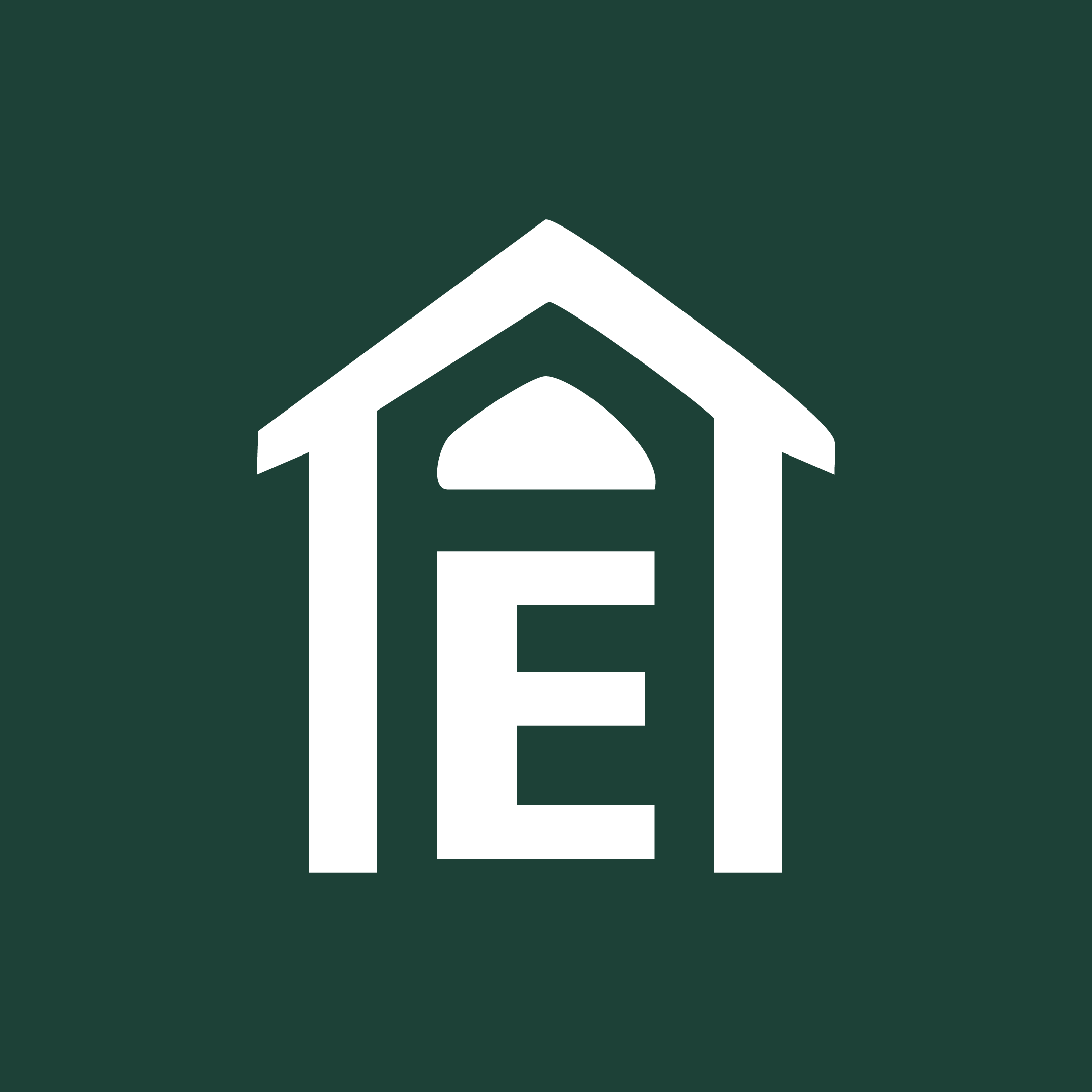 Elxis Logo